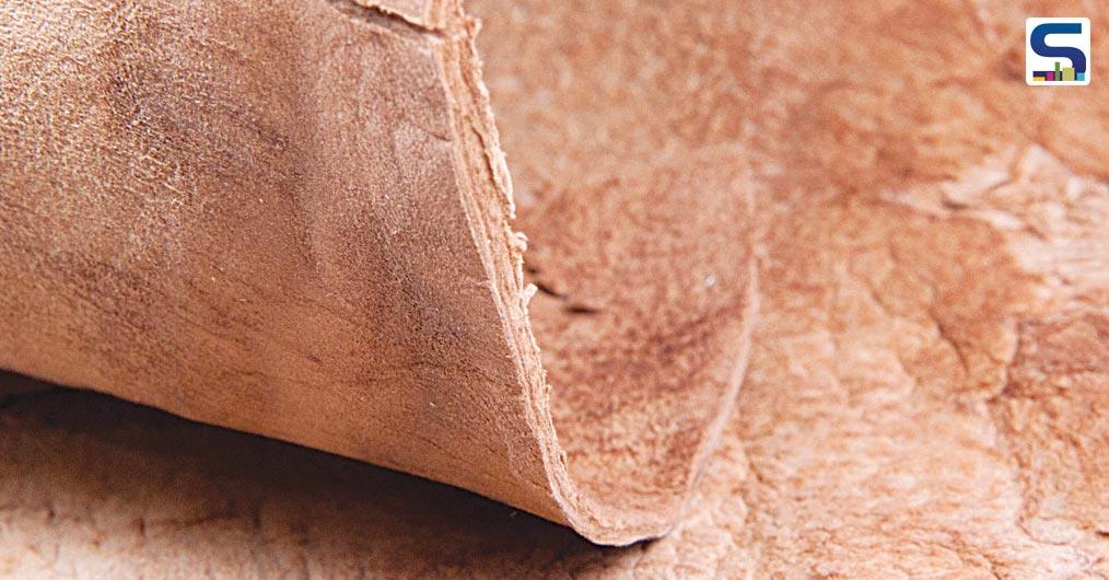 Phil Ross, a biologist has been experimenting with fungi in his art practice for almost two decades. By introducing mushroom tissue into molds filled with pasteurized sawdust and allowing the fungus.