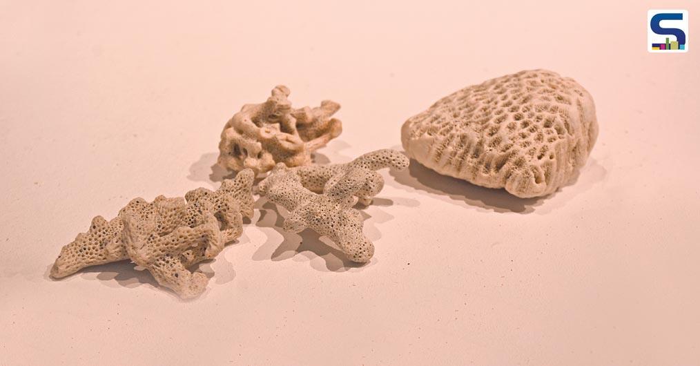 According to Columbia University Earth Institute, cement is the second-most consumed substance on Earth and its production accounts for 5% of global Co2 emissions.