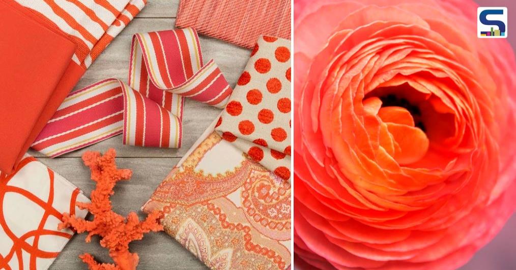 We are almost ready to bid adieu to 2018. And this is an ideal time to know what colours will play an important role in the upcoming home decor trends as the homeowners always seek changes that will positively impact their lives and decision.