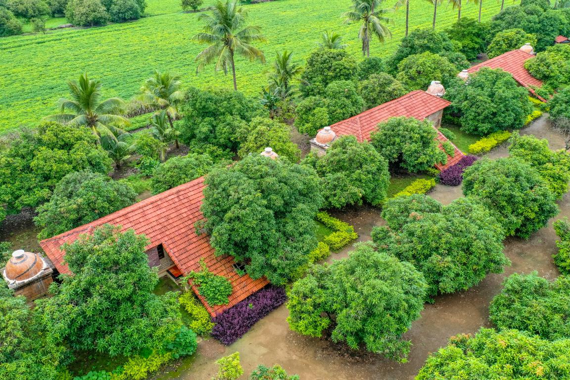 Terracotta Tiled Roof Architecture