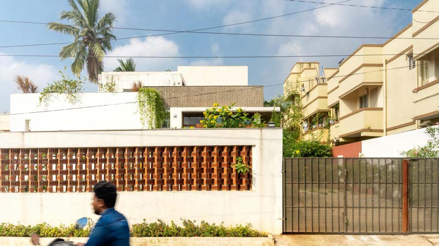rooted-house-triple-o-studio