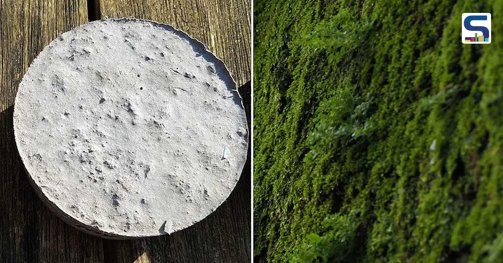 Innovative Bio-Receptive Concrete That Grows Moss To Make The Cities Green