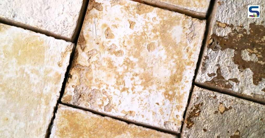 Fungal biomaterials
