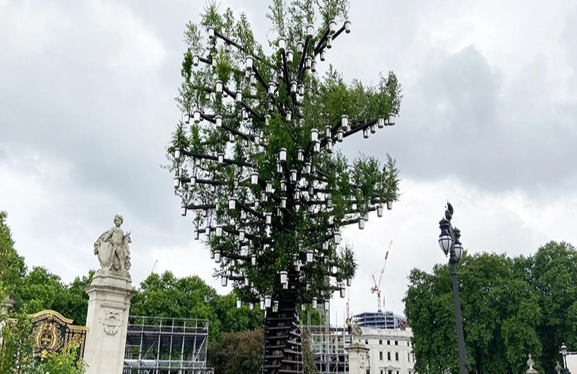 First Photos of Heatherwick’s Trees of Trees Revealed | SR Exclusive