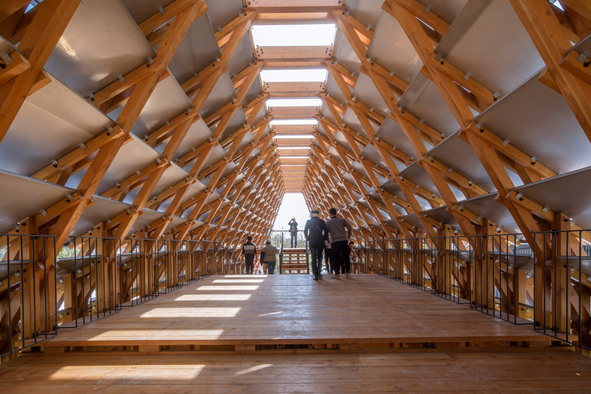 timber-bridge-luo-studio-surfaces-reporter