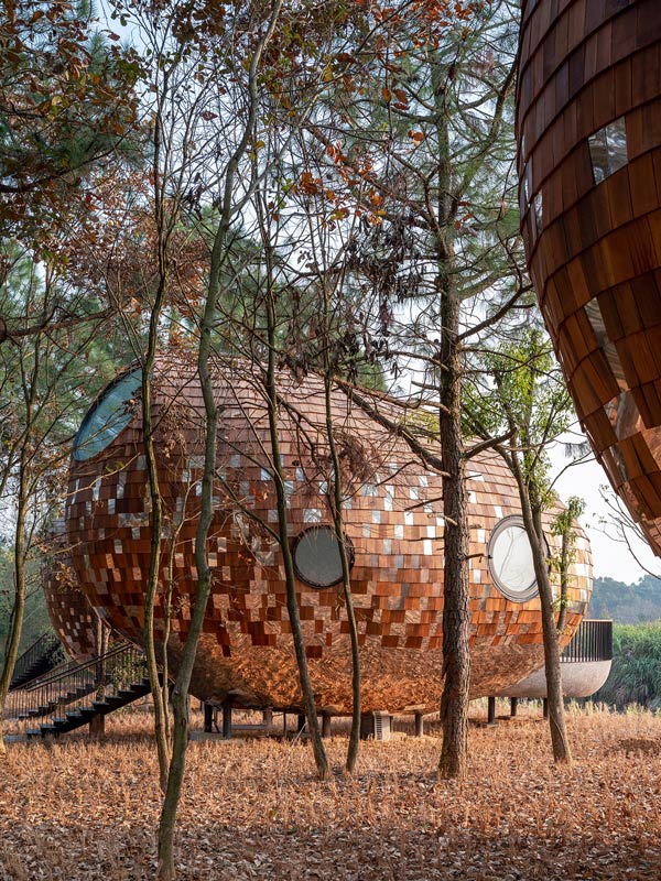 Wooden And Mirrored Shingles