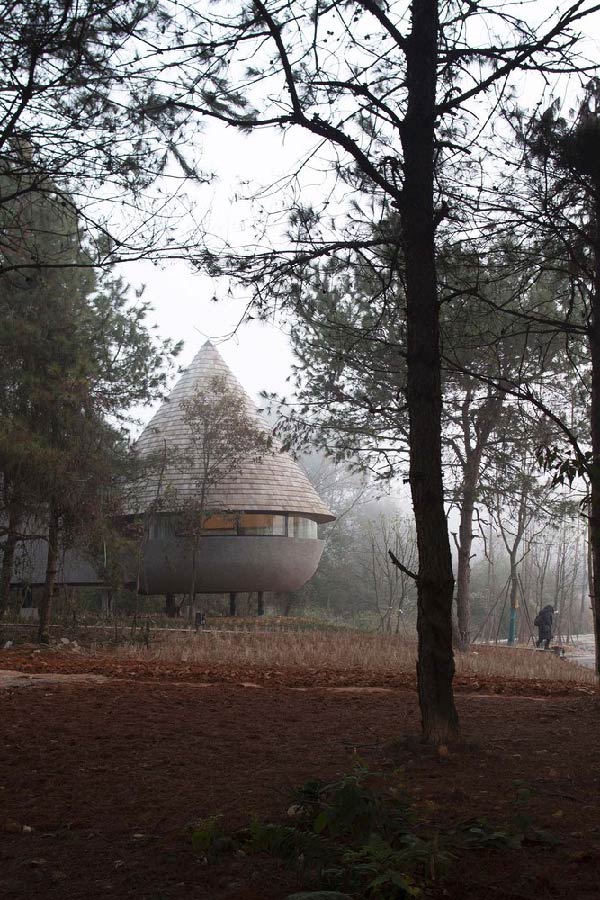 The mushroom house