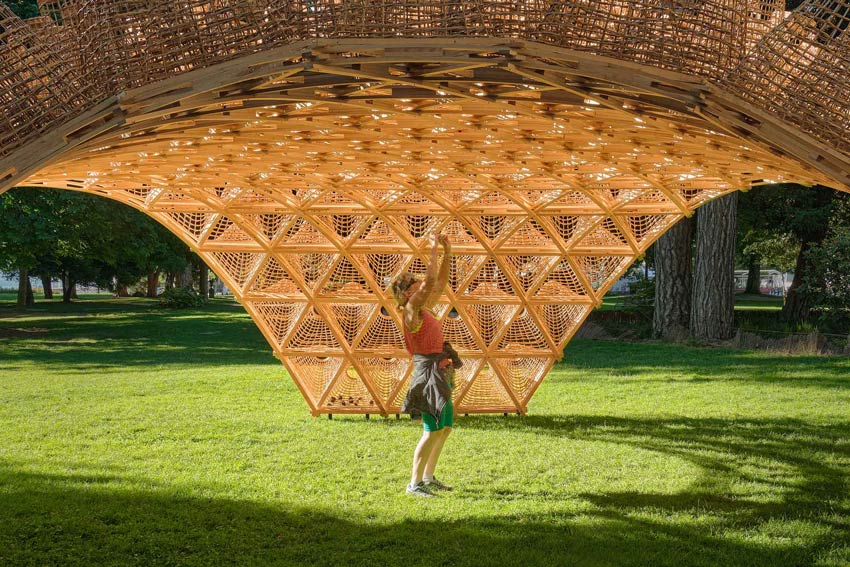 Wicker Mesh Pavilion