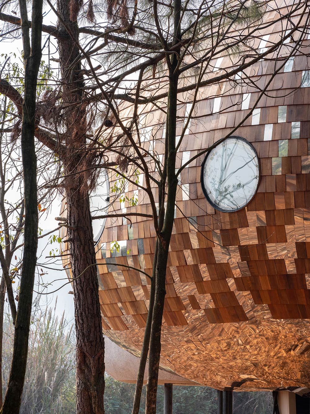 Wooden And Mirrored Shingles