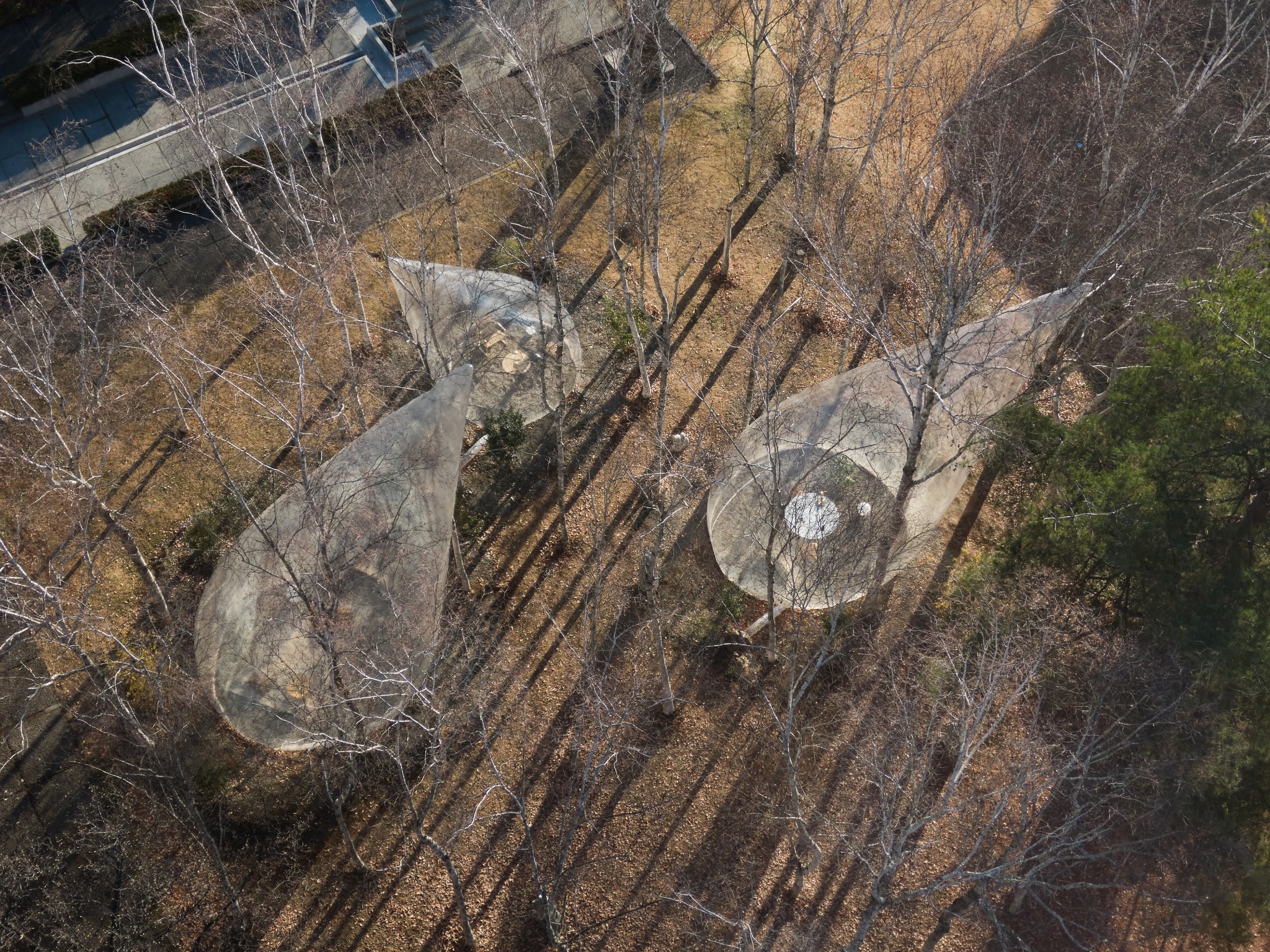 tear drop tents