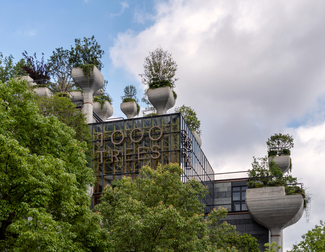 1000-trees-heatherwick-studio-surfaces-reporter