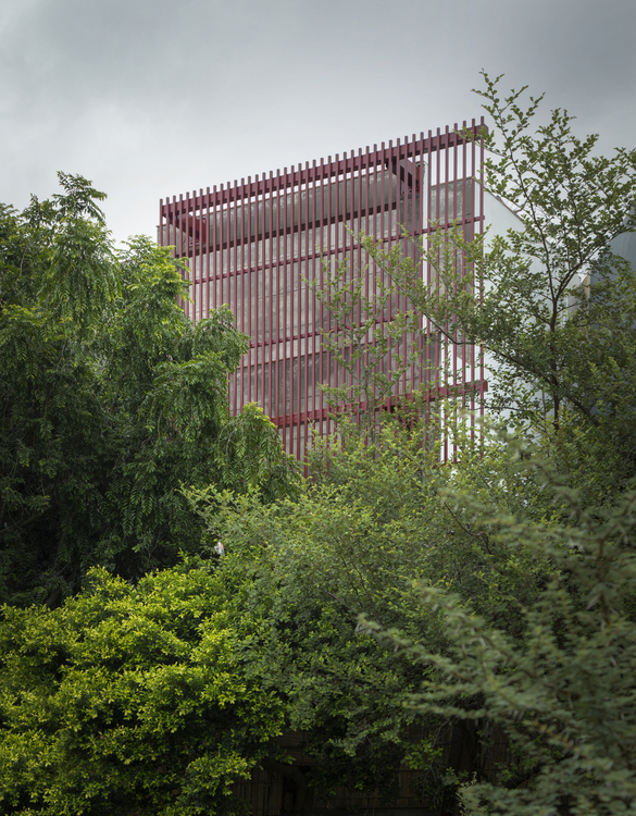 house with 49 trees
