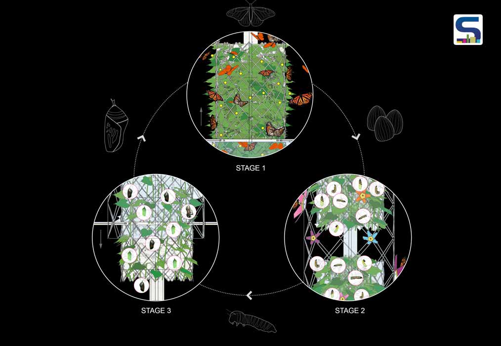 LifecycleDiagram