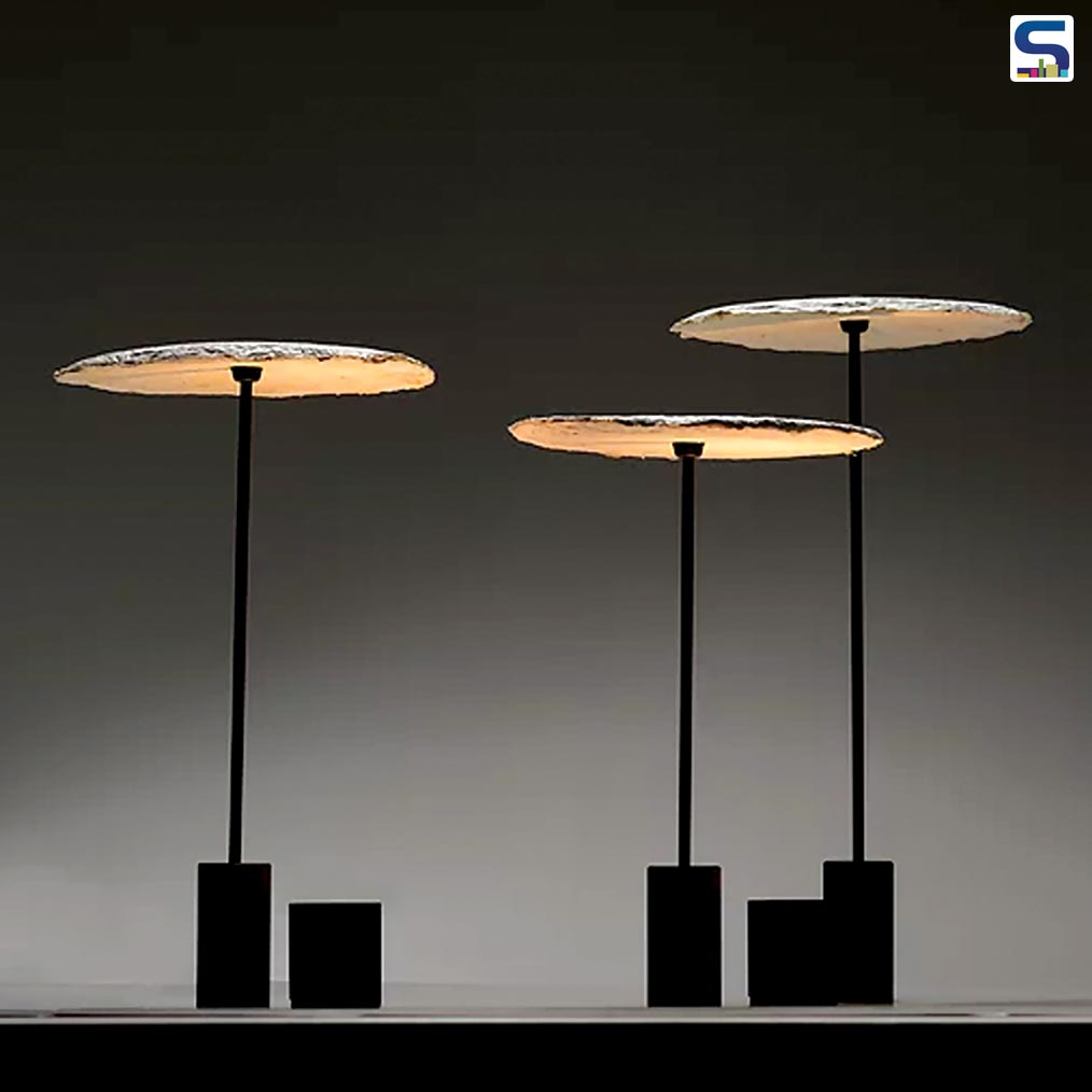 From Fungus to Light