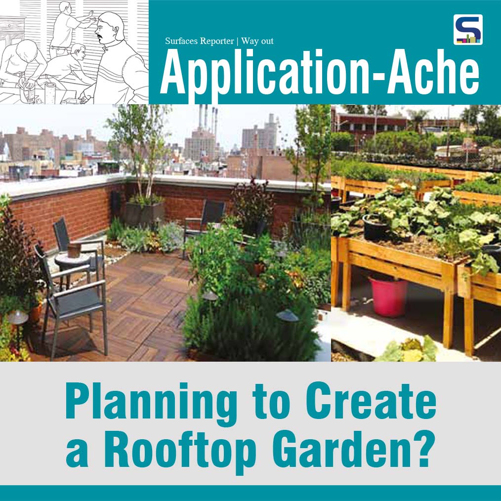 Rooftop Garden