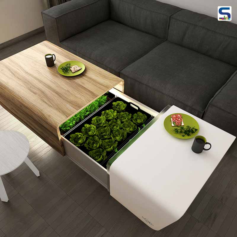 A Unique Coffee Table With Hidden Home Gardening System For Smaller Spaces