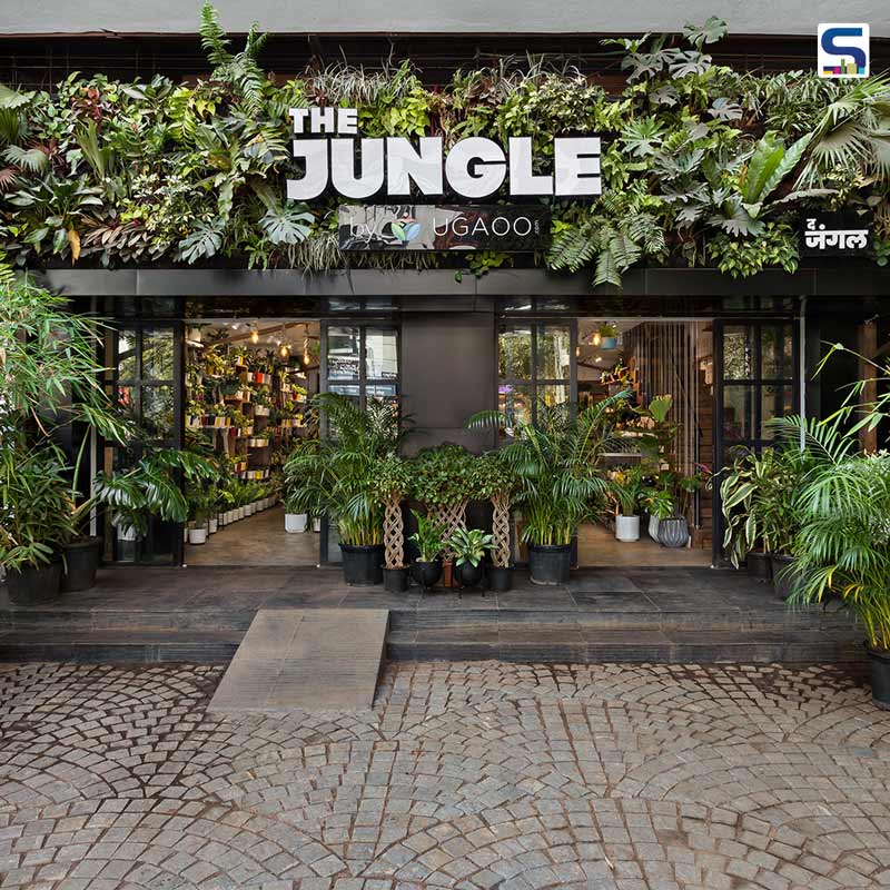 The-Jungle-by-Ugaoo_Concept-By-Sowe-surfaces-reporter