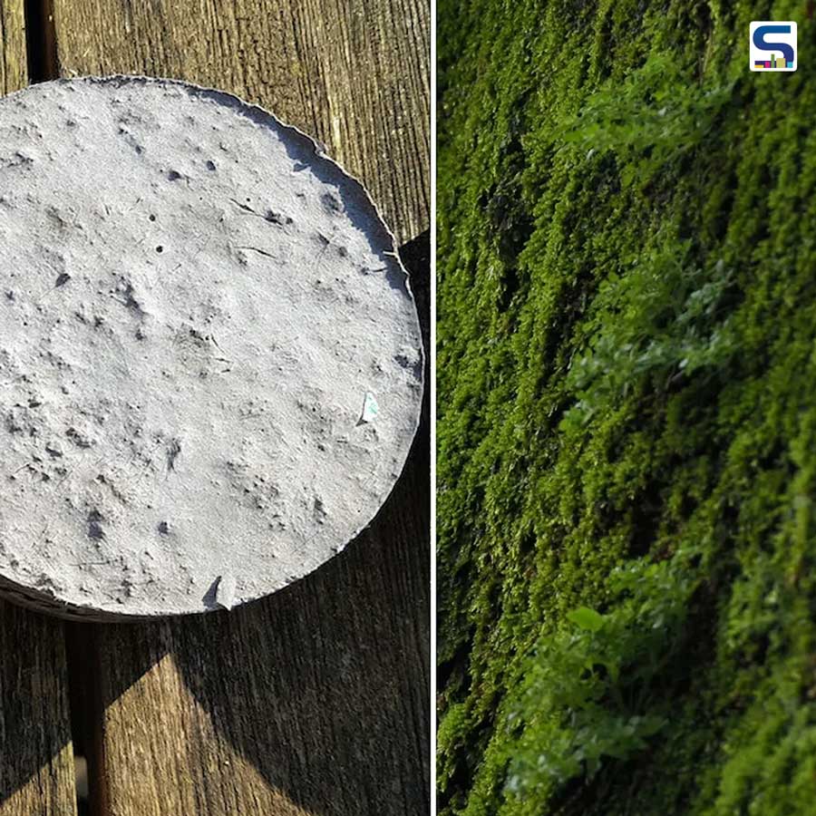 Innovative Bio-Receptive Concrete That Grows Moss To Make The Cities Green