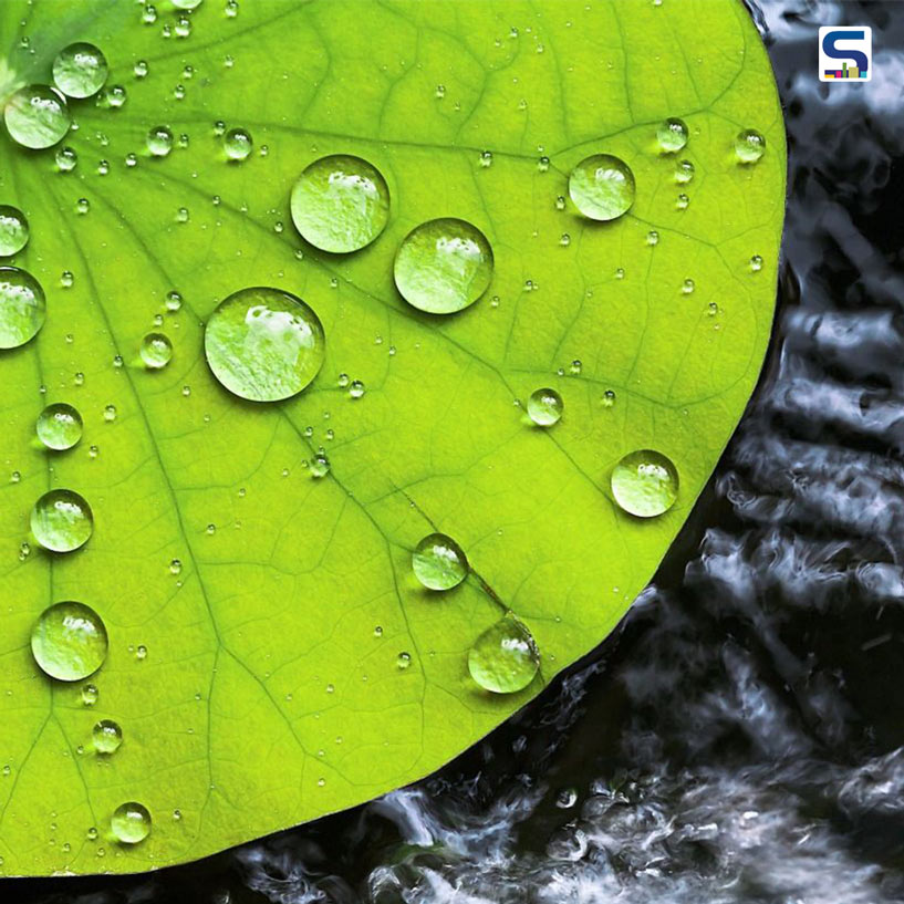 New Self-Cleaning BioPlastic Inspired By Lotus Leaf; Help Curbing Plastic Pollution | Australia | SR Material Update