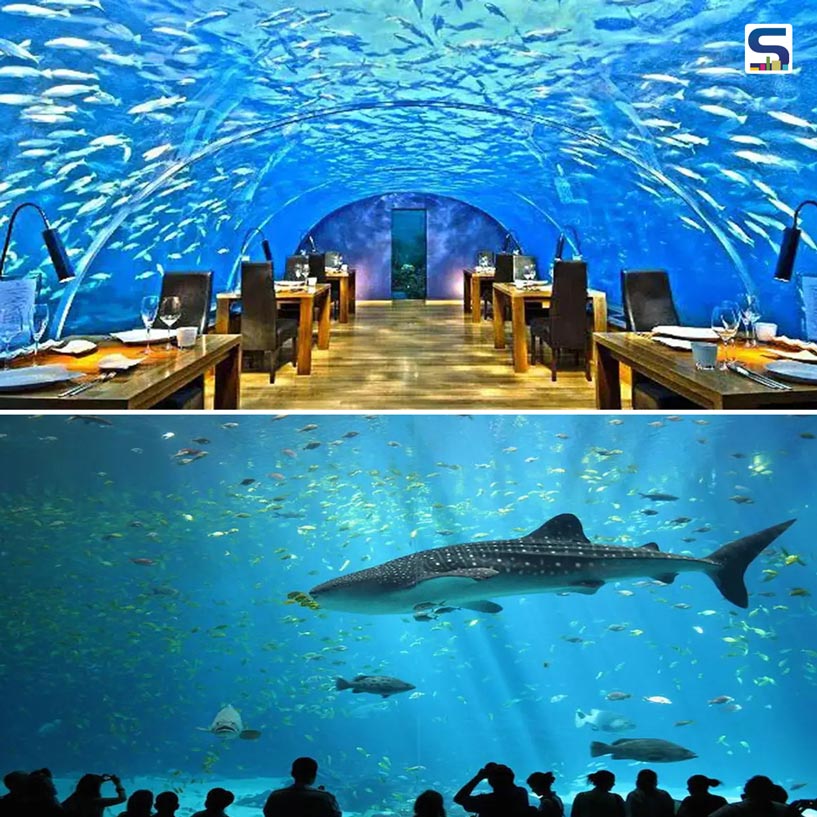 Hyderabad Is Ready To Become The Proud Home of Indias Biggest Aquarium | SR NEWS UPDATE