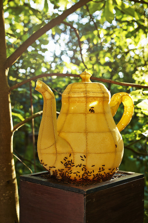 Honeycomb Tea Pot