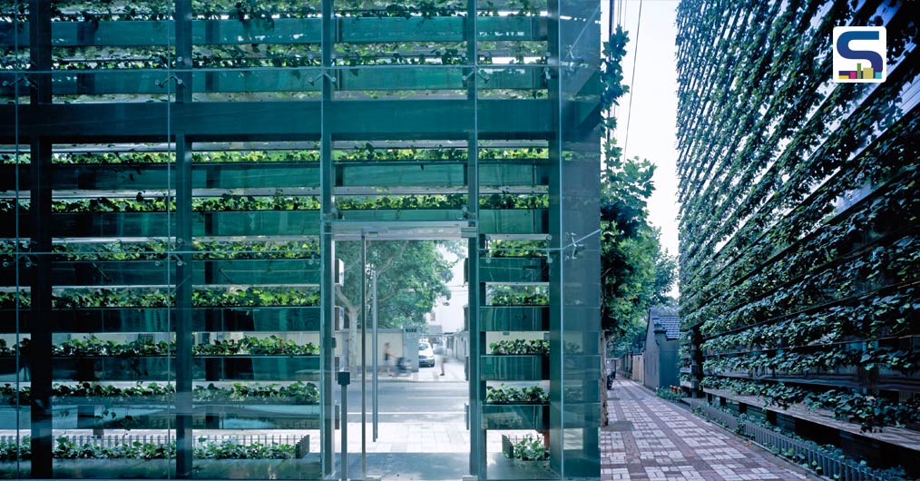 Bamboo and Mirror Horizontal Planter